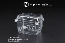 Hộp nhựa định hình - Bao Bì Nhựa Định Hình Napaco Việt Nam - Công Ty TNHH Napaco Việt Nam